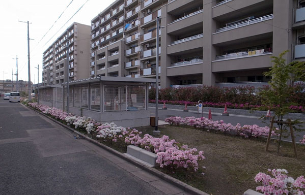 大阪府営大東朋来住宅（耐震改修）