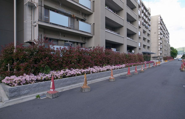 大阪府営大東朋来住宅（耐震改修）